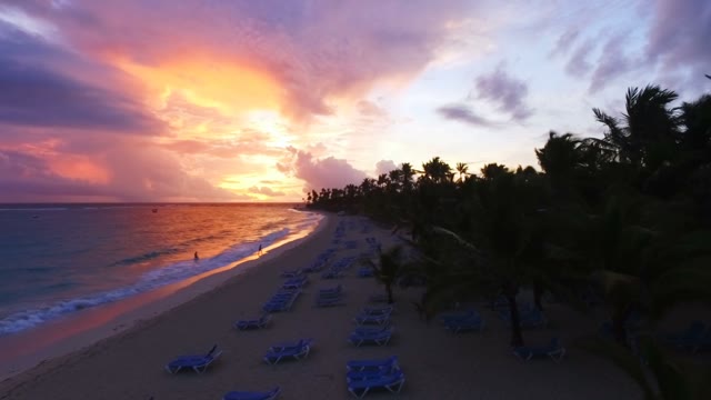 The Camera Flies Over The Palm Trees Along The Beach