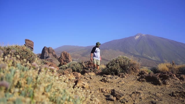 The Young Man Goes Through The Desert