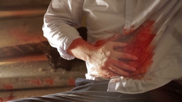 Cat Beside The Man, Wounded In The Stomach Close-up