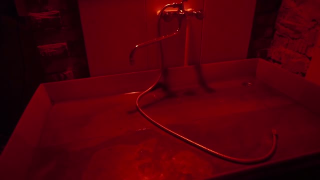 Large Sink In The Developing Room