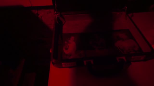Man Closes A Suitcase With Pictures Close-up