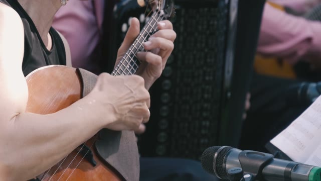 Woman Playing A Little Guitar