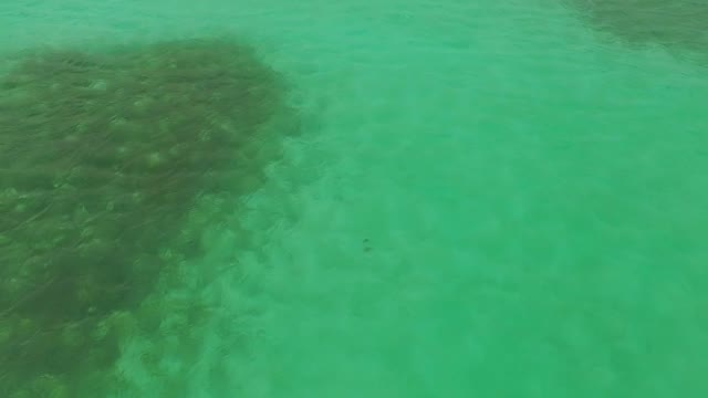 Clear Water Of The Ocean And A View Of The Coast Of The Island With Drone
