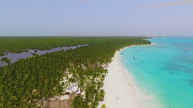 Incredibly Beautiful Island With White Sand Beaches, Palm Trees And Crystal Blue