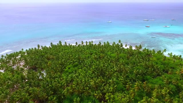 Paradise Island In The Middle Of The Open Ocean With Clear Blue Water