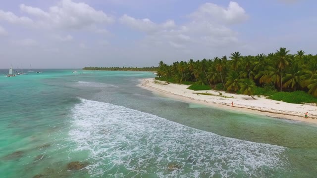 Waves On The Beach And A Large Palm Rainforest View Quadrocopters