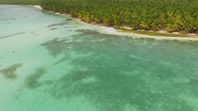 Incredible Clear Water On The Shore Of The Ocean And The Green Forest View From