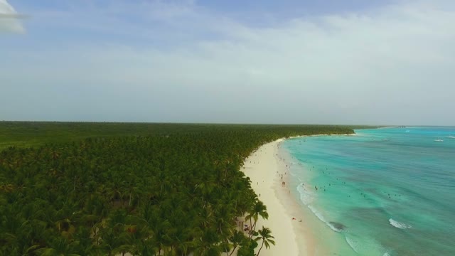 View From The Drone On A Long Sandy Beach And Endless Green Forest Trees