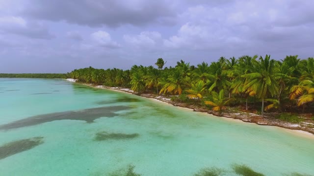 View From Quadrocopters To The Island With Large Palm Trees And Bathing People