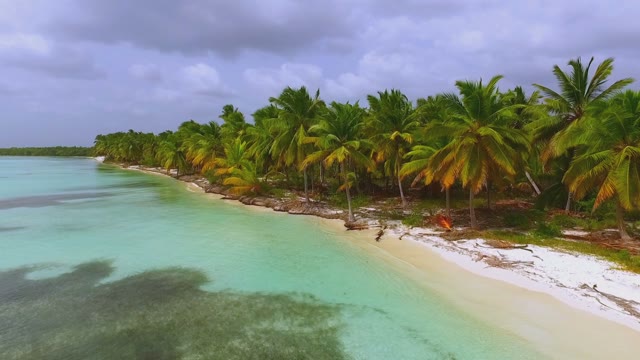 Beautiful Views Of The Azure Coast With Tall Palm Trees