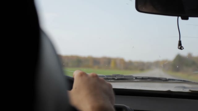 View From A Moving Car On The Woods