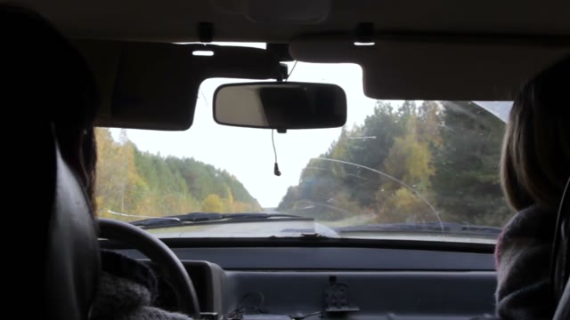 View From A Moving Car On The Woods