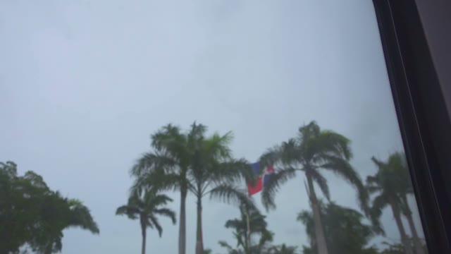 The Flag Of The Dominican Republic Among The Palms