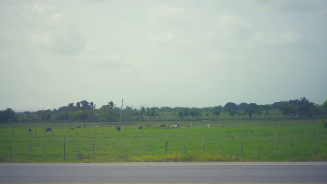 Country Landscape From The Window Of A Passing Car