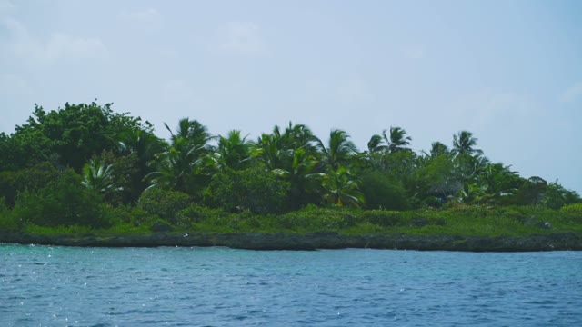 Green Island In The Middle Of The Ocean