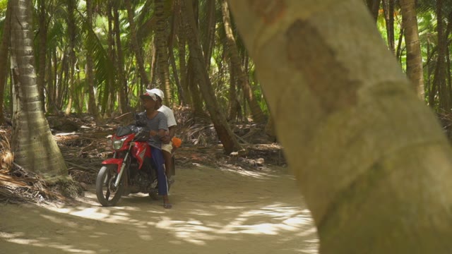 Men On A Motorcycle In A Palm Forest