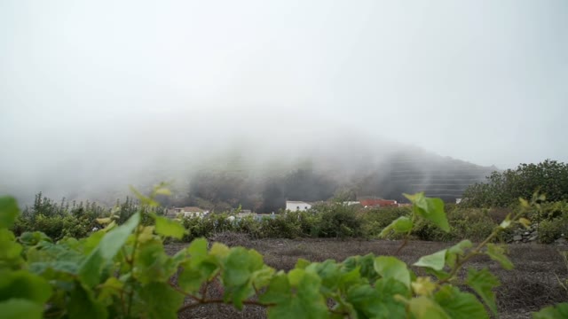 Location On The Foot Of The Mountain