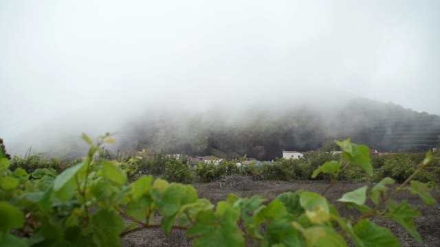 Location On The Foot Of The Mountain In Fog