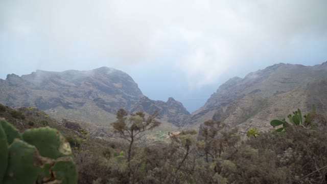 Green Valley Mist