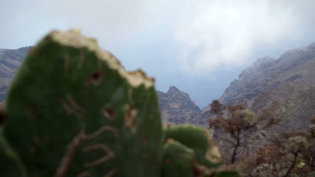 Green Valley Filmed Near The Cactus