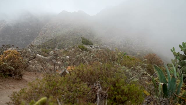 Hill And Bushes In The Wind