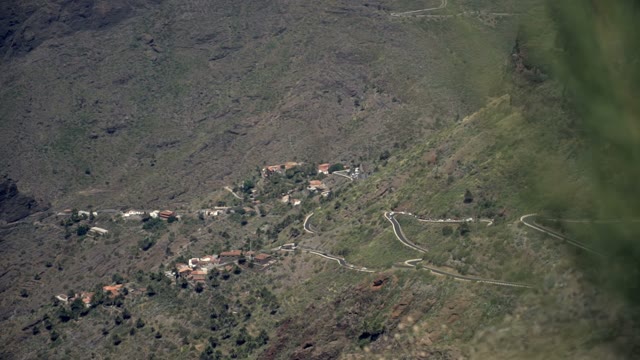 Green Valley Filmed From Behind The Cactus