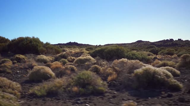 View From A Car