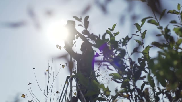 Man Sets A Retro Camera Among Green Bushes