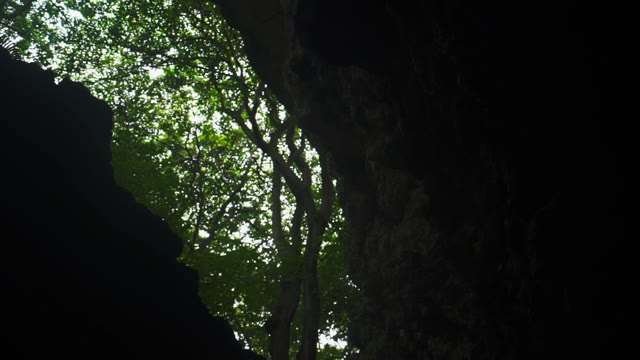 The Camera Shoots The Cave Entrance
