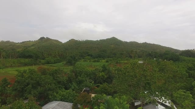 View From The Drone To Large Forests And Green Hills