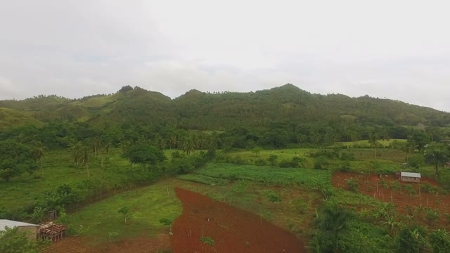 View From The Drone Of The Green Plantations And Large Expanses Of Forests