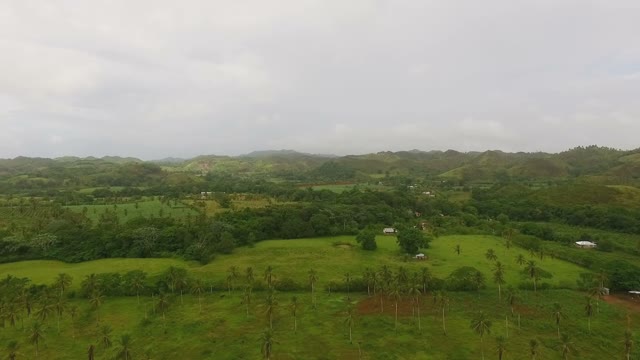 Green Plantations And Large Expanses Of Forests And Fields