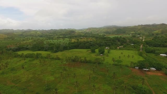 Top View Of The Crop Fields And Lawns Near The Rainforest