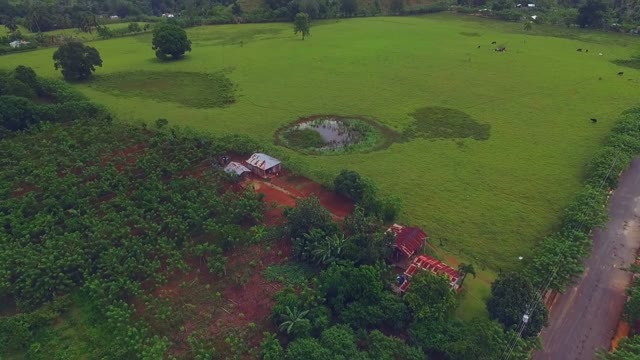A Large Green Field Near Rural House