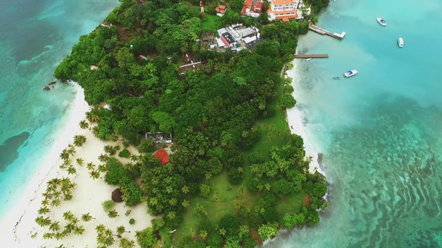 Aerial View Of The Island With Palms Trees And White Sand On The Ocean
