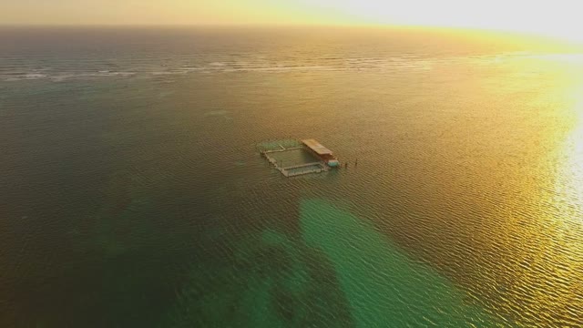 Top View Of The Ocean In The Evening Rays Of The Golden Sun