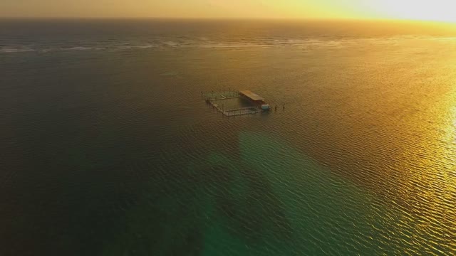 Top View Of The Ocean In The Rays Of The Setting Sun