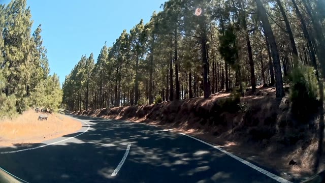 Car Is Turning Left On The Beautiful Road