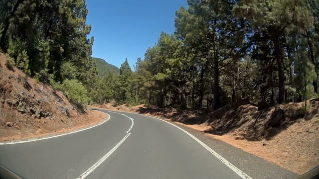 Car Is On The Asphalt Road Driving Through Forest