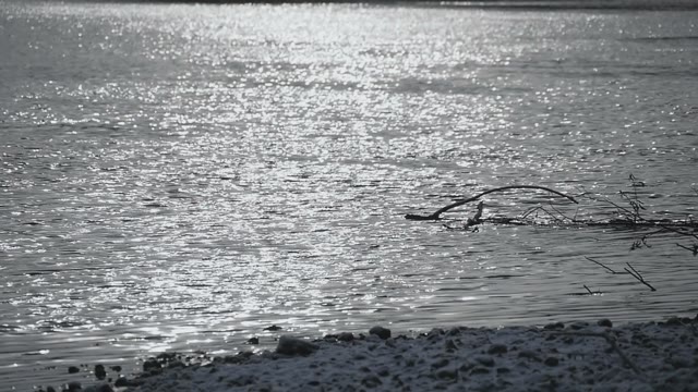 Snow Shore Of The River In The Rays Of The Autumn Sun