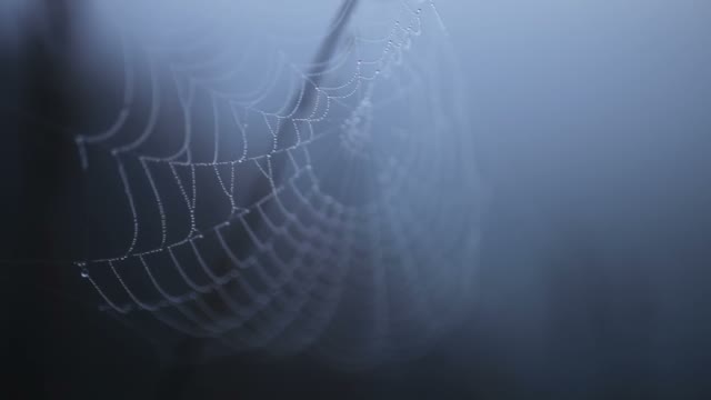 The Middle Of The Round Web