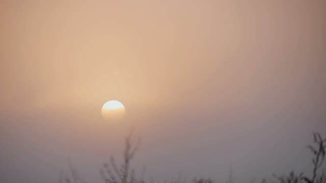 The Setting Sun In The Sky Of Pink Color