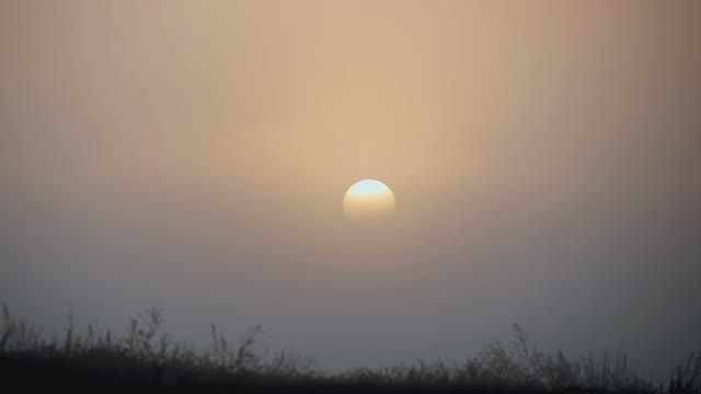 The Setting Sun In The Sky Among The Reeds