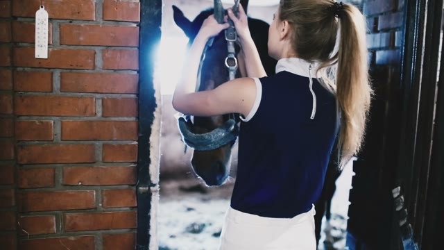 Beautiful Girl Horsewoman Puts The Reins On Her Favorite Horse