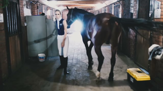 Beautiful Blond Girl Horsewoman Secures The Reins Of The Horse And The Horse