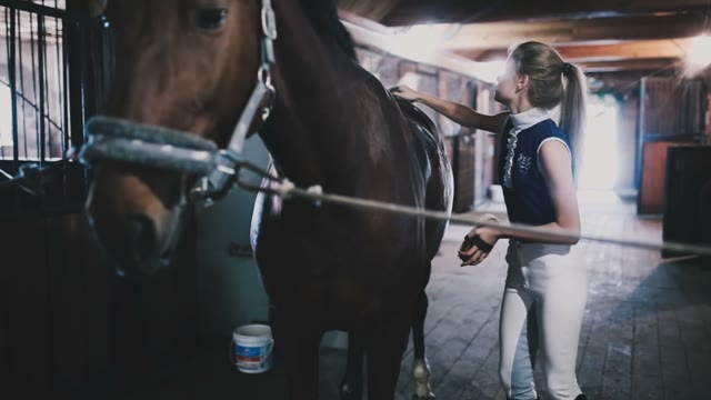 Beautiful Blond Girl Horsewoman Brushing His Horse In A Stall