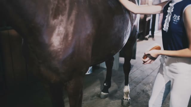 Beautiful Blond Girl Horsewoman Brushing His Horse