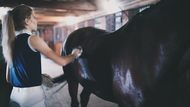 Jockey Girl Cleans Her Horse In The Barn With A Brush