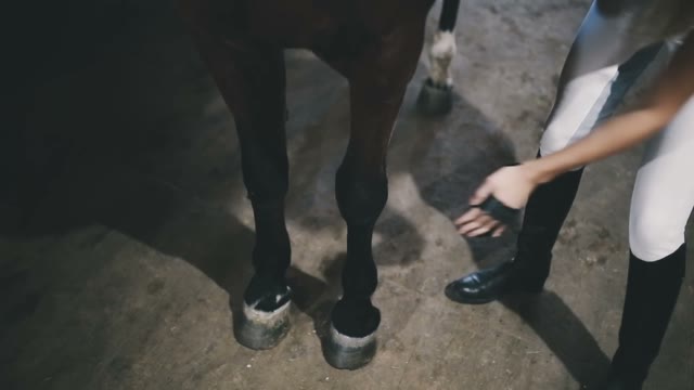 Jockey Girl Cleans The Legs Of Her Horse In The Barn
