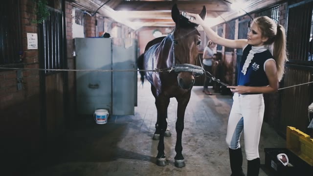 Beautiful Girl Horsewoman Cleans The Mane Of His Horse In The Stable